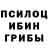Галлюциногенные грибы Cubensis Vitalie Revenco
