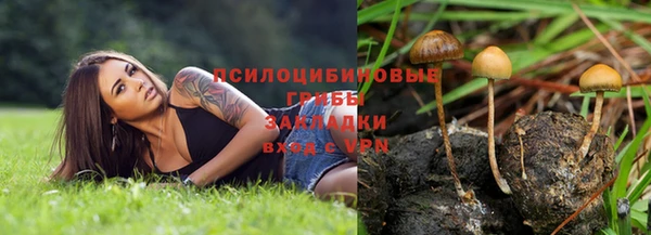 кокаин премиум Гусев