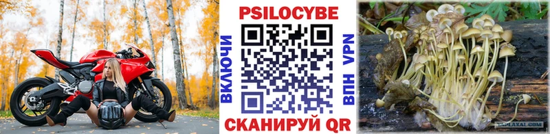 Галлюциногенные грибы Magic Shrooms  Купить  Апатиты 